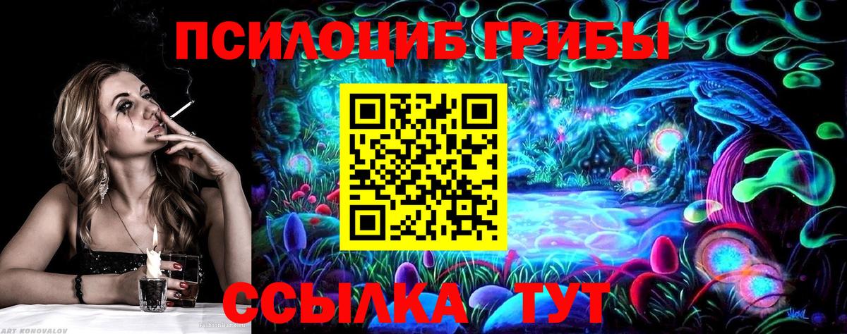 Галлюциногенные грибы Cubensis  Вход с VPN  Назрань  Галлюциногенные грибы Psilocybine cubensis 