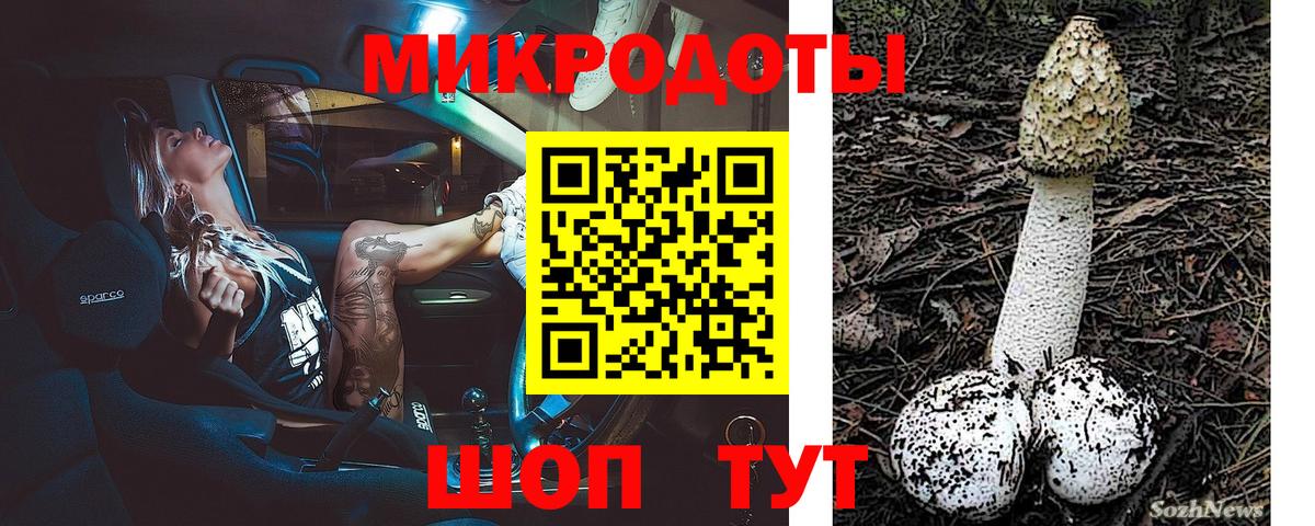 Псилоцибиновые грибы ЛСД Назрань