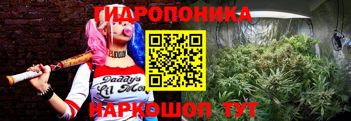 МАРИХУАНА VHQ Назрань